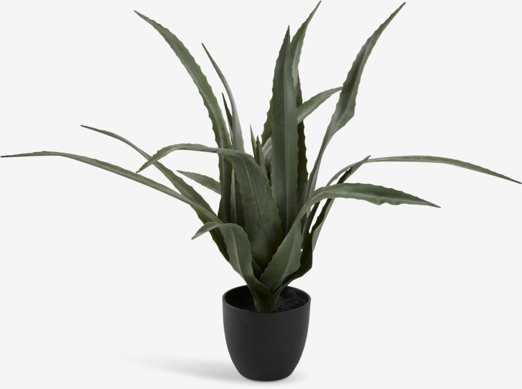 Plantă artificială CELIUS 65cm aloe vera