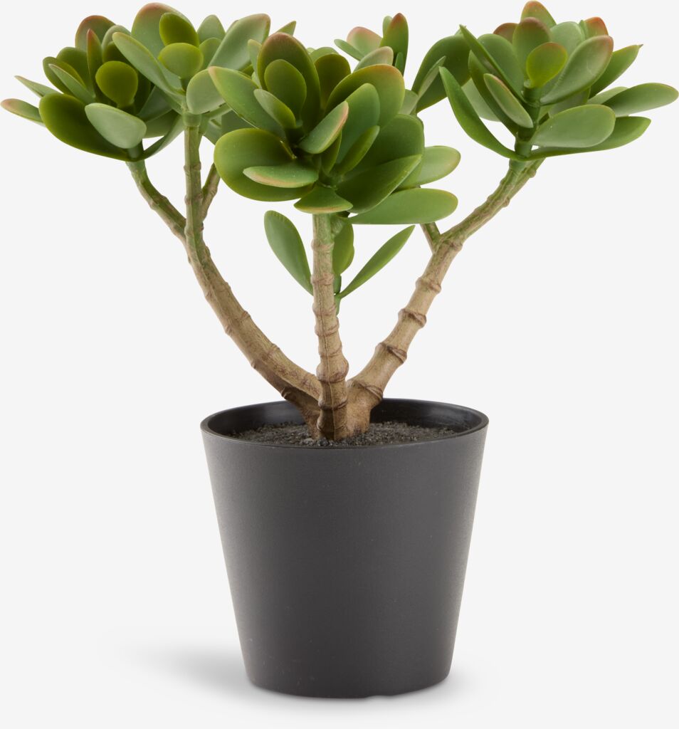 Plantă artificială JOSTEIN 23cm verde