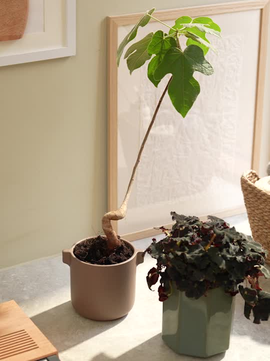 Ghiveci ROBIN Ø12x11 cm maro